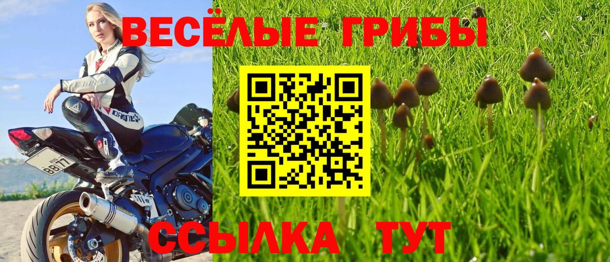 Галлюциногенные грибы MAGIC MUSHROOMS Бор