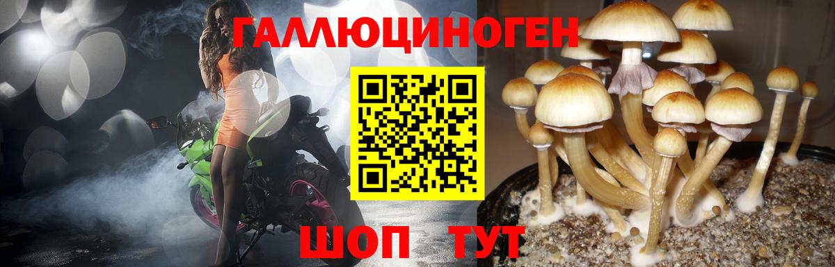 купить  сайты  Псилоцибиновые грибы Psilocybe  Вход с VPN  Бор 